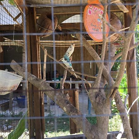 Klong Khong Garden Hotell Ko Lanta Exteriör bild