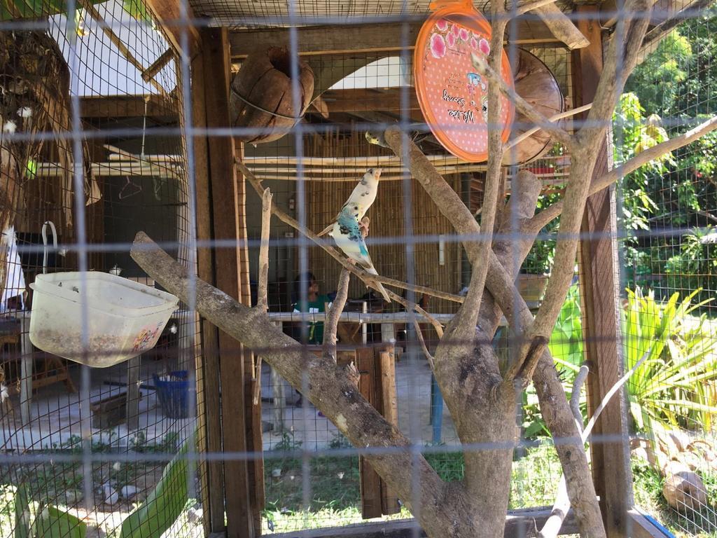 Klong Khong Garden Hotell Ko Lanta Exteriör bild