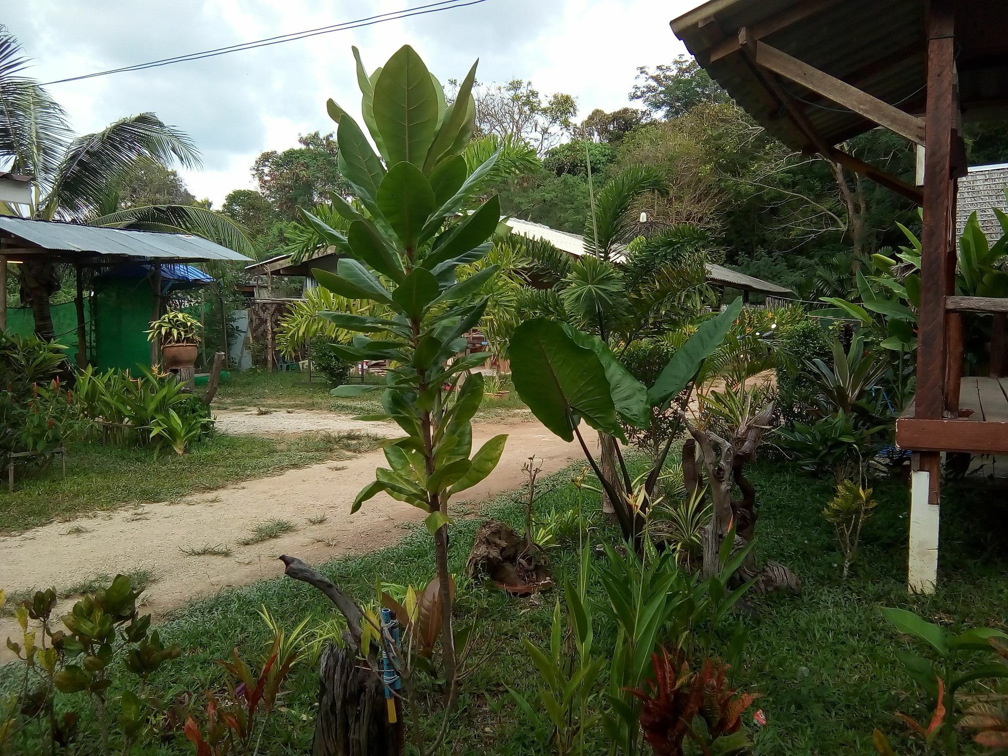 Klong Khong Garden Hotell Ko Lanta Exteriör bild