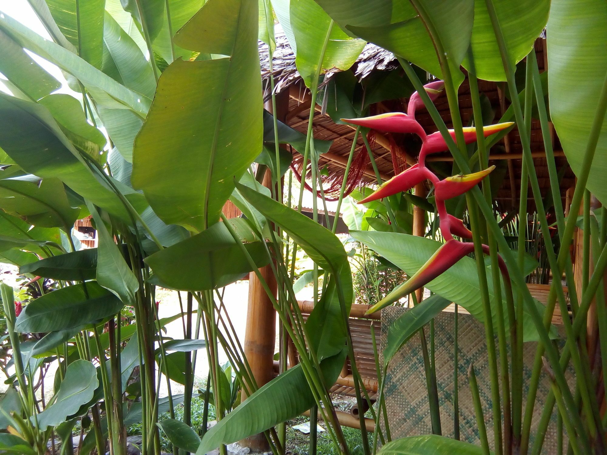 Klong Khong Garden Hotell Ko Lanta Exteriör bild