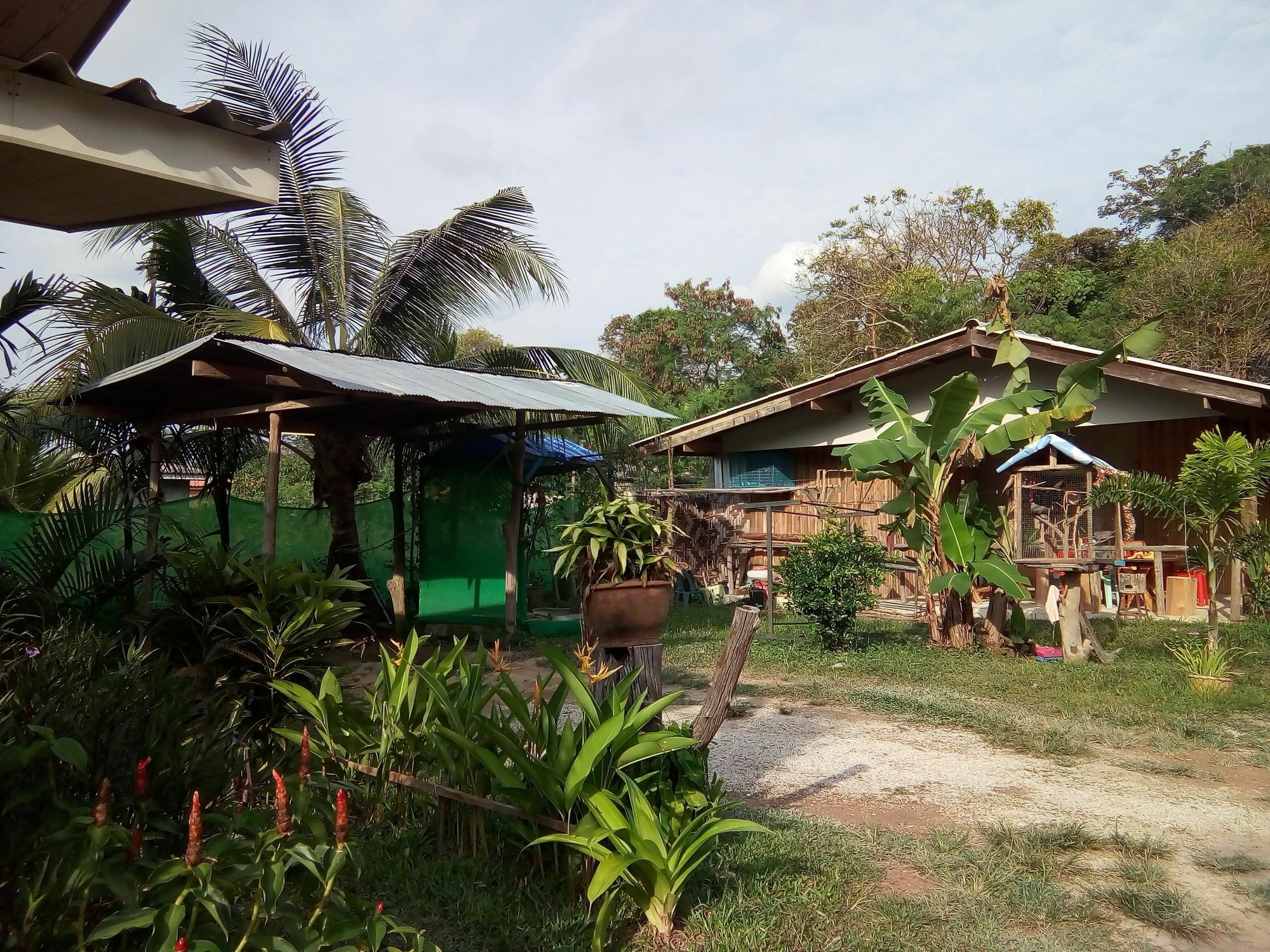 Klong Khong Garden Hotell Ko Lanta Exteriör bild